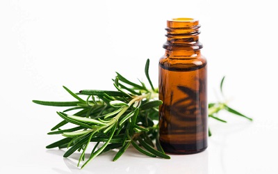 تصویر 3 از قیمت خرید اسانس طبیعی رزماری + فروش ویژه